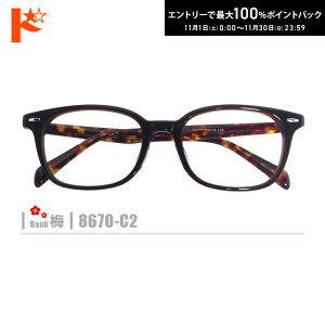 ő100%|CgobNI11/3023:59܂Ł~lRKly8670-C2ziZt[+^Y+Kl@+P[Xtjn