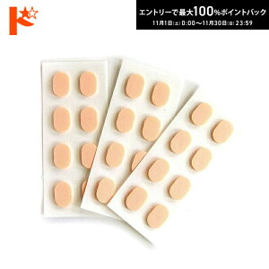 ő100%|CgobNI11/3023:59܂Ł􁟃[֑ςӂƁi12yAj ύރptV[