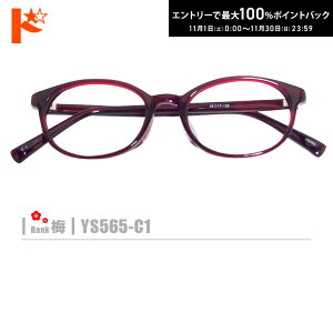 ő100%|CgobNI11/3023:59܂Ł~lRKlyYS565-C1ziZt[+^Y+Kl@+P[XtjԌn