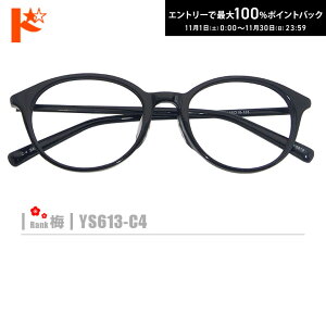 ő100%|CgobNI11/3023:59܂Ł~lRKlyYS613-C4ziZt[+^Y+Kl@+P[XtjnubNn