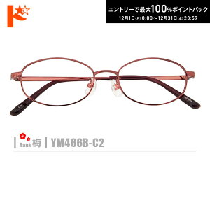 ő100%|CgobNI12/3123:59܂Ł~lRKlyYM466B-C2zi^t[+^Y+Kl@+P[XtjԌn