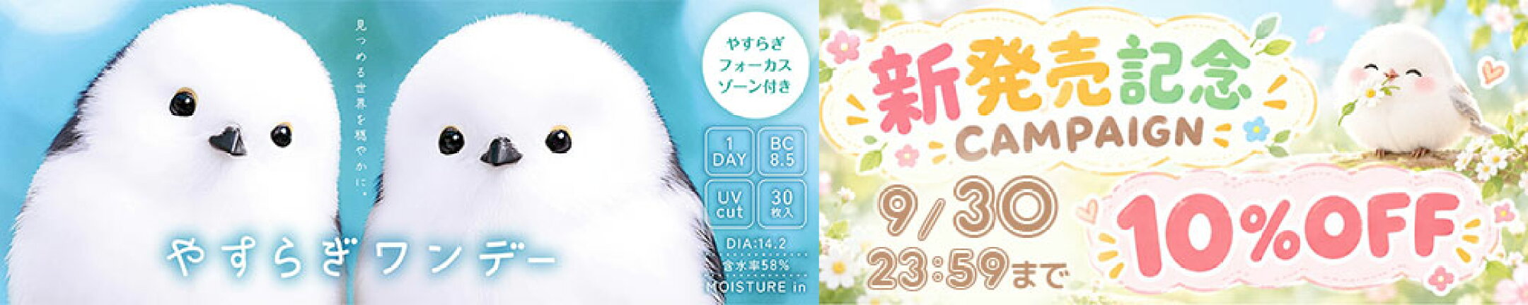 10%OFF新発売記念キャンペーン☆