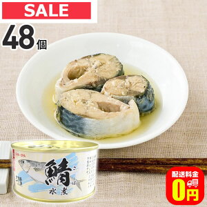 ő100%|CgobNI12/3123:59܂Łyz ΐ ʋl 180g 48Zbg y8% / CقĂ ʋl ۑH H ~ ʋl Â ۑ CN V[t[h 