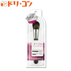 チークブラシ 持ち運びの人気商品 通販 価格比較 価格 Com