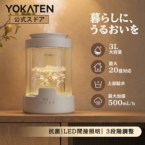 【2026改良モデル 5000円クーポン配布中】スチーム加湿器 GLASS スチーム式 加湿器 グラス 大容量 3L 上