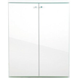 y11̓Gg[P10{z ACIY ʔ X^Cv ^ Ԍ750mm ֎[ SN-750