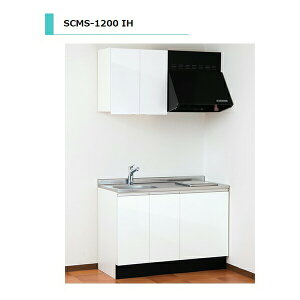 y11̓Gg[P10{z ACIY SCHS ݌˒I sR Ԍ600mm SCHS-600S J[4F@GA Lb`