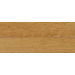 iYƁ@s[X^Cv _CNg ubN`F[ ubN`F[ DXWW-CHE2 t[O  tA