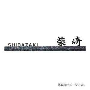   X^CbVC u[p[&XeXؕ DK-205