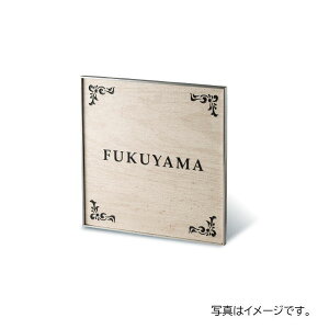 y11̓Gg[P10{z  GNZ (EbfBzCg) APE-17