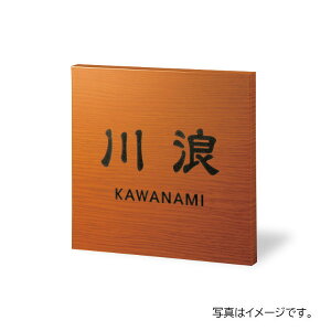 y11̓Gg[P10{z  Au ؖڒAN (L) AB-20