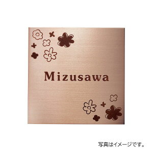 y11̓Gg[P10{z  XeXhC XeX[HL () SR-512