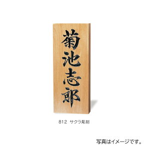 y12̓Gg[P10{z  ؕ\D TN 813