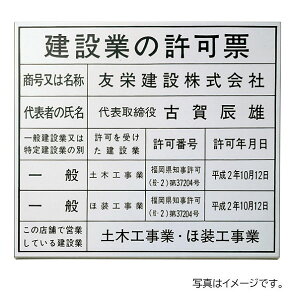 y12̓Gg[P10{z  ٖEƃTC Gb`O [ XeXGb`O PZ-19