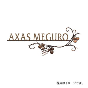 y11̓Gg[P10{z  ٖEƃTC j[uXACAٖ IRZ-15