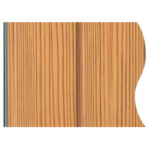 y12̓Gg[P10{z tNr oXpl sR200-I^R 3B 3m (1) ݂ѐ J3BS3  tH[