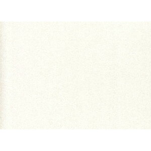 �y2���̓G���g���[��P10�{�z ���{�f�R���b�N�X �p�j�[�g �V���C���z���C�g 3x6 3mm FX3621G �L�b�`���p�l��