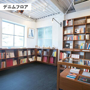 y11̓Gg[P10{z ^W} fjtA 500p DML-101