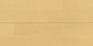 y12̓Gg[P10{z Rrbgj[AhoX V152 FKm877D-7-PL Ebh tA