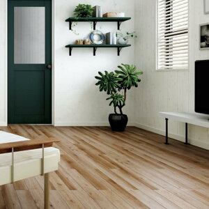 y11̓Gg[P10{z t[O VbT DtAh DB-40 -DB4001-MAFF V[g荇ENbV 1P[X36 LIXIL/NV h[