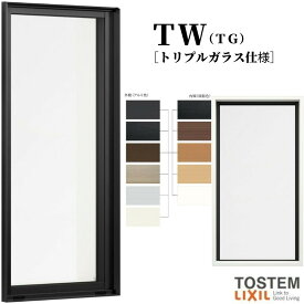 FIX窓 02120M TW (TG) W250×H2070mm トリプルガラス 樹脂サッシ アルミサッシ 複合窓 採光窓 固定サッシ TW ハイブリッドサッシ LIXIL リクシル TOSTEM トステム 断熱 窓 サッシ 住宅 家 リフォーム DIY ドリーム