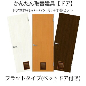 y9̓Gg[P10{z 񂽂񌚋 ̂ݎ֗p J ybghAt(/^p) TCY`915×`1820mm I[_[TCY o[nhԕt hA  DIY h[