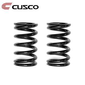 XvO ID65mm R250mm [g5.0kgf/mm Xg[N144mm ubN 1{ CUSCO(NXR) 065 250 05