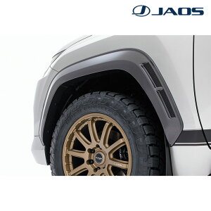NTXLX I[o[tF_[ 300n 2022.01- type-R JAOS(WIX) B129252CF