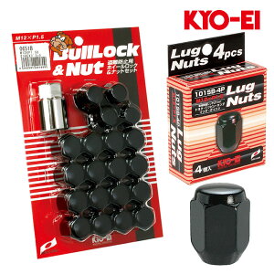 nCG[Xo zC[ibg 100n M12xP1.5 ubN ubN 21HEX bN&ibg24set KYO-EI(iY) 0651B+101SB-4P