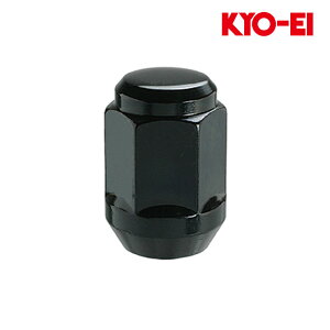 ubN^XL[ M14xP1.5 [pibg ubN 21HEX 1Pi KYO-EI(iY) F100SB