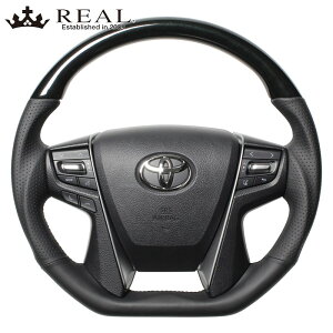 NEAX[g XeAO 210n H24/12-H30/6 38BubNEbh REAL(A) S210-BKW-BK