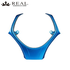 C-HR XeAOA_[pbh 10n 50n H28/12- u[ REAL(A) X10-PAD-BLP