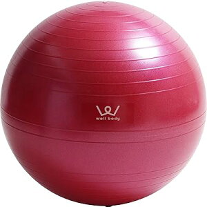 ACR(ALINCO) GNTTCY{[55cm(sN) WBN055P