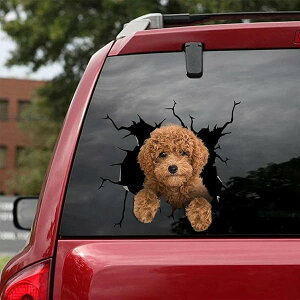 Utegv[hT3dԂ̃XebJ[AʔA[gfUCXebJ[AԂ̑XebJ[AԂ̑op[XebJ[A①ɃXebJ[ACeAAgCXebJ[