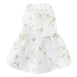   t  s[X [X zCg  vZX   ؂₩ Pl ̕ ėp Ȃ  ʋC  EFfBOhX m Eѕی Ăh z  