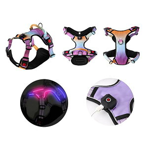 - n[lXy2025ŐV USB[d n[lX LEDCgtzp 4_߉\ ȒP Ԕ ybgn[lX y ʋCK SȂ Eoh~ ^E^E^E