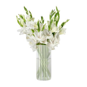 ԕr KX 20cm a9cm ~ k t[x[X } ֑}  KXx[X VvԊ ւ₷ CeA NA