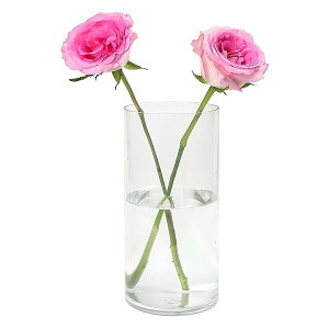 Ȃԕr ԕr 30cm t[x[X 傫 Ȃ |J[{l[g nk΍ ~ y NA   } CeA vX`bN(30cm×a12cm)