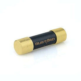 GUSTARD HIFI交換用ヒューズ ナノ合金ハイエンドヒューズ X18/U16/U18/C16/C18/X16/A18/H16に対応 630mA gustardヒューズ fuse 630mA