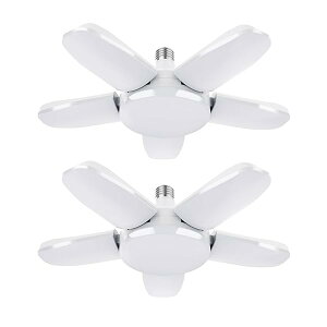 K[WCg V[OCg LEDCg 100W 2 10000lm y_gCg LEDd 6500K VƖ Ɩ tȒP Hsv px߉\ Ԍ q [ Ɠ F