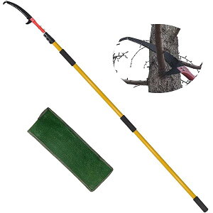 ���}�؂�m�R�M�� �L�k�����}�� �蓮���苘 ���}�̂����� ���R�L�k ���|�p�m�R�M�� (7.5���[