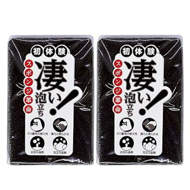キッチンスポンジ スポンジ革命 (16個セット（ブラック）16個セット)