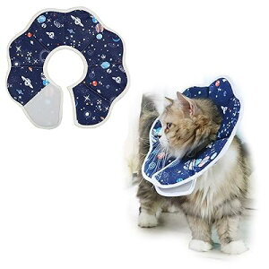 WISSUA GUxXJ[ y ʋC PK  rߖh~ ~h~ Lp ^p y \tg pPA 􂢐 _炩  (S, F)