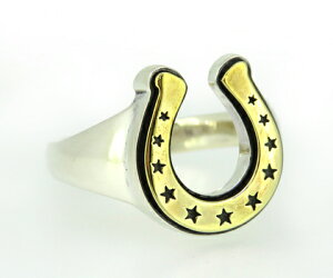 [J[񂹕i/ASR-200BRF z[XV[`[tO/AQUA SILVER/ANAVo[