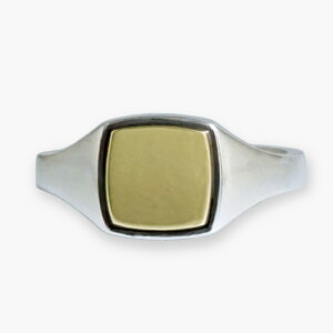 AQUA SILVER ANAVo[ ASR-209BRF uX VOlbgO wցy[J[񂹕iz