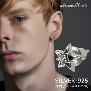 Ae~XNVbN ArtemisClassic _uX^[sAX Ў Vo[ ACE0167yskzzuh Y fB[X Vo[925 sAX l Vv X^[   Ԃ Xg[ X^b