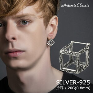 Ae~XNVbN ArtemisClassic t[L[usAX Ў Vo[ ACE0168yskzzuh Y fB[X Vo[925 sAX l Vv  Xg[  ubN L