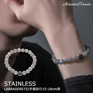 Ae~XNVbN ArtemisClassic gT[uhCguX ACB0123yskzzuh Y fB[X uXbg Vo[ XeX Xg[ VR Vv  l 