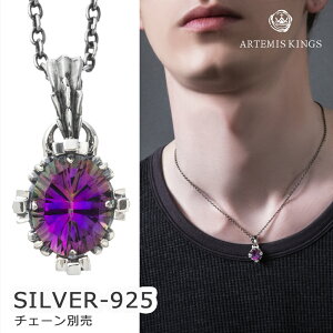 Ae~XLOX ARTEMISKINGS I[oNEy_g ~XeBbNNH[c gbv̂ AKP0124yskzzuh Y fB[X lbNX Vo[925 Vv  NX  