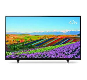 �y�V�i���J���i�z�t�i�C FUNAI FL-43U3060 �n��EBS�E110�xCS�f�W�^�� 4K�Ή� �t���e���r 43V�^ 43�C���` 2023�`2024�N��